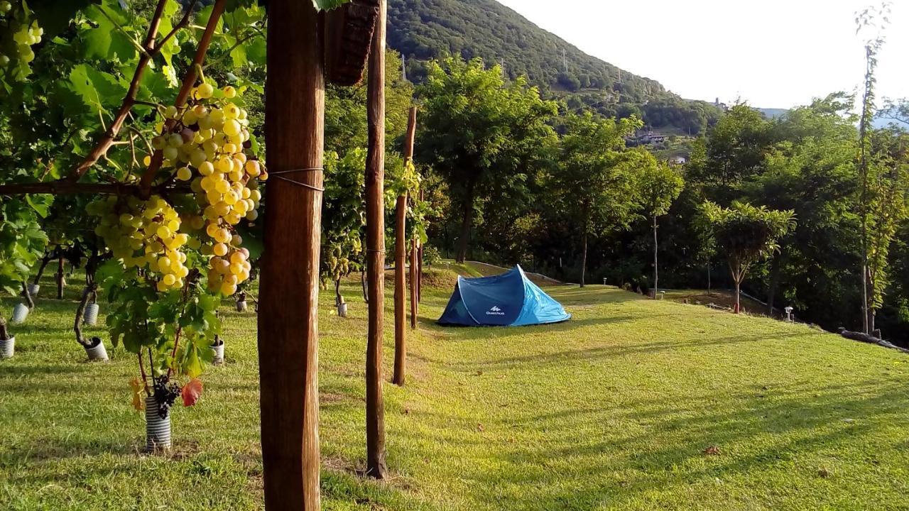 Hôtel Camping Colle Vento à Domaso Extérieur photo